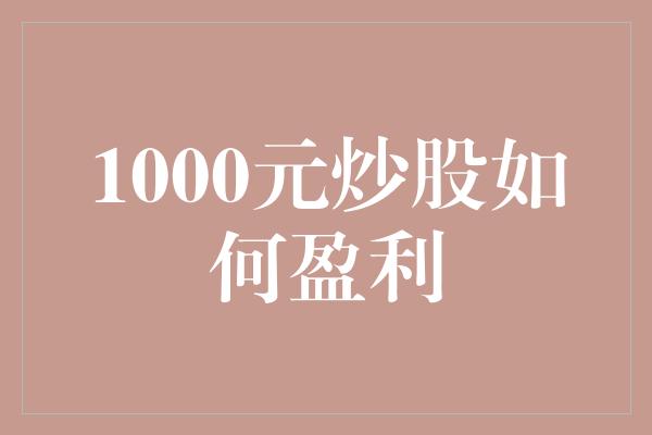 1000元炒股如何盈利