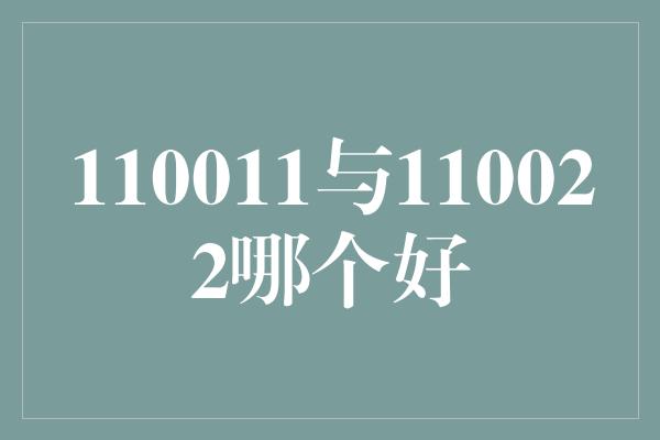 110011与110022哪个好