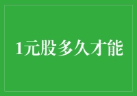 一元股的投资策略：风险管理与长期价值挖掘