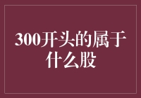 300开头的股票是啥？一文带你揭秘！