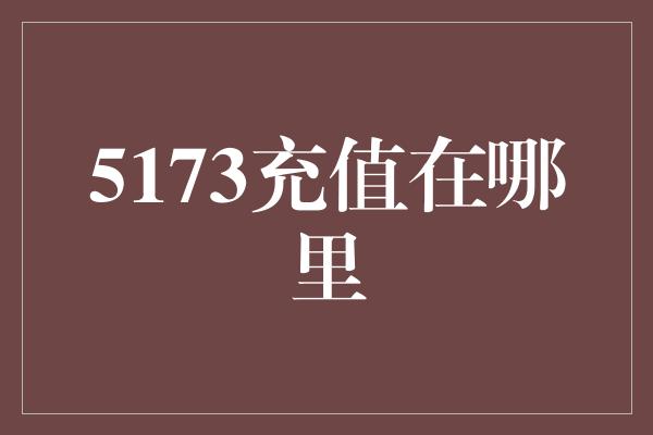 5173充值在哪里