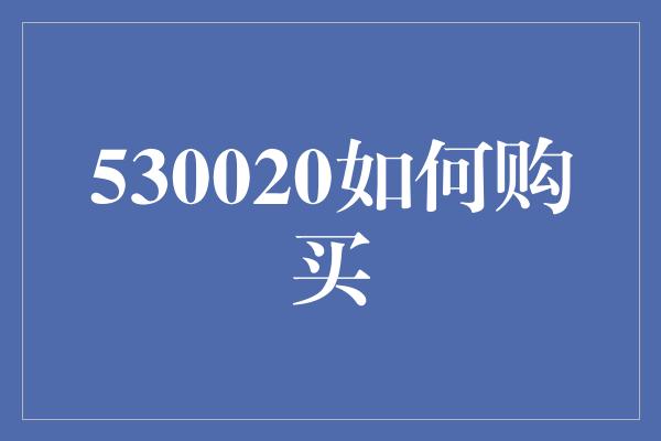 530020如何购买