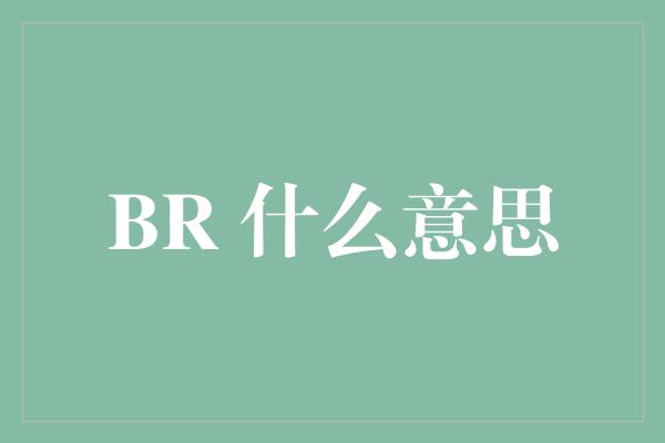 BR 什么意思