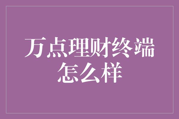 万点理财终端怎么样