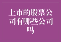 上市股票公司的多元世界：探索资本市场中的企业瑰宝