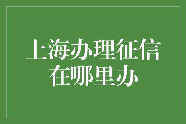 上海办理征信在哪里办