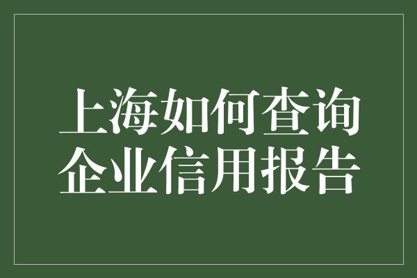 上海如何查询企业信用报告