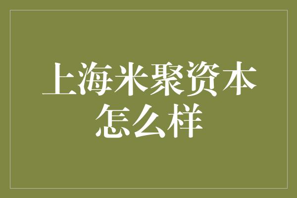 上海米聚资本怎么样