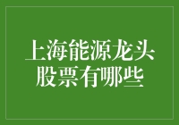 投资上海能源股，龙头股指南：找到那只披着电力外衣的独角兽