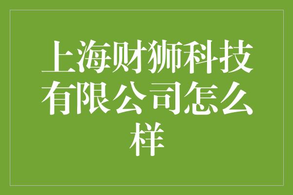 上海财狮科技有限公司怎么样