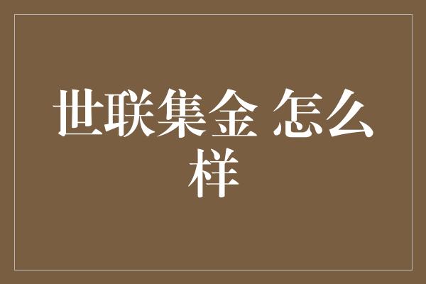 世联集金 怎么样