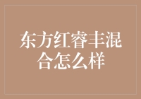 东方红睿丰混合基金：市场风云中的稳健力量