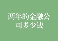 两年的金融公司发展路径概览：估值与关键因素解析