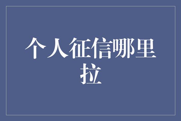 个人征信哪里拉