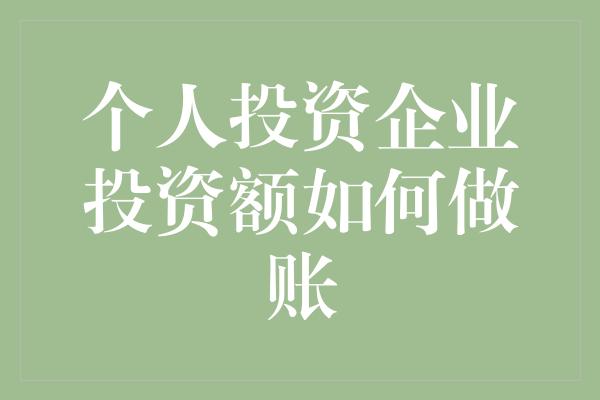 个人投资企业投资额如何做账