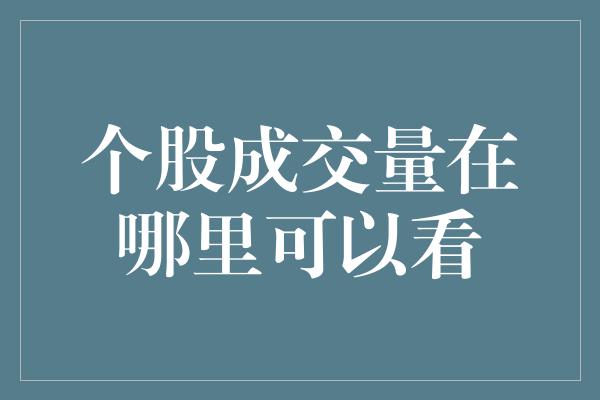 个股成交量在哪里可以看