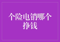 探索个险电销市场：寻找稳定的收入来源