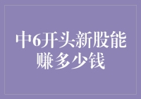 中签6开头新股的投资潜力与收益评估