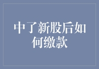 通过深度解读解决新股中签后的缴款难题