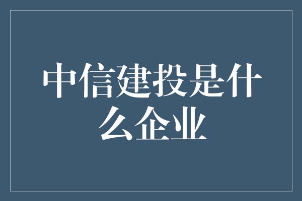 中信建投是什么企业