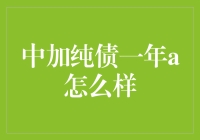 中加纯债一年A基金：稳健投资的选择