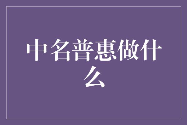 中名普惠做什么