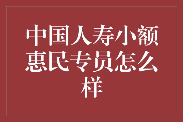 中国人寿小额惠民专员怎么样