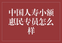 中国人寿小额惠民专员：构建全民普惠保障的桥梁