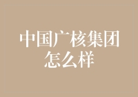 中国广核集团到底怎么样？深度解读其发展历程与未来趋势