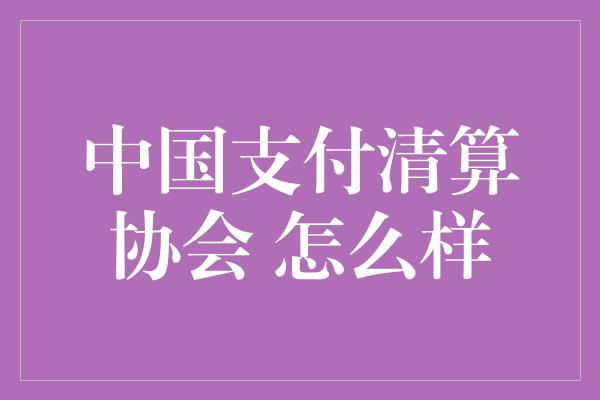 中国支付清算协会 怎么样