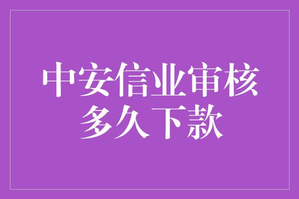 中安信业审核多久下款