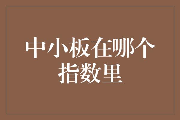 中小板在哪个指数里