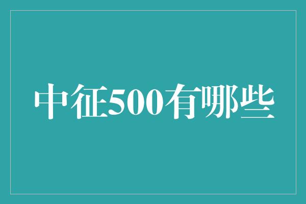 中征500有哪些