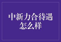 新中新力合员工福利与待遇深度解析