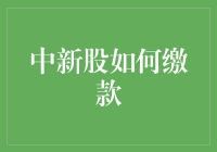 中新股缴款攻略：从新手到大师，一个新手的奇妙之旅