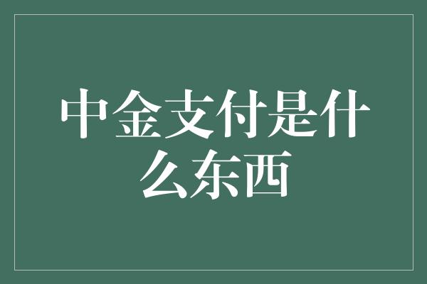 中金支付是什么东西