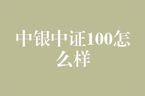 中银中证100怎么样