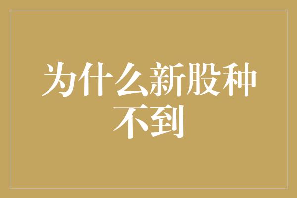 为什么新股种不到