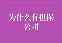 为什么有担保公司：在信用社会中稳健前行的保障