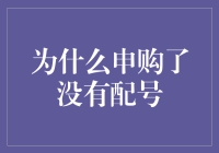 投资的玄妙：为什么申购了没有配号？