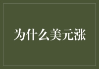 美元升值背后的多层级驱动力：2023年分析