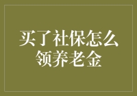 社保养老金领取指南：如何确保老年生活的安定与幸福