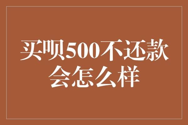 买呗500不还款会怎么样