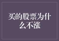 解读：为何买的股票迟迟未涨——一份深度解析