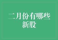 二月份新上市股票大盘点：把握投资新机遇