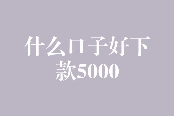 什么口子好下款5000