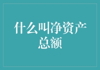 跨越财务迷雾：深度解析净资产总额的概念与意义