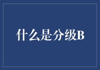 分级B：背后的秘密你不知道的那些事儿