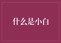 小白也能看懂的财经知识！