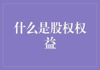 股权权益：掌握企业控制力的关键